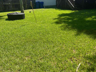 Lawn care service in Mount Pleasant, 29464