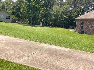 Lawn care service in Albany, 70711