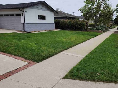Lawn care service in Ventura, 93003