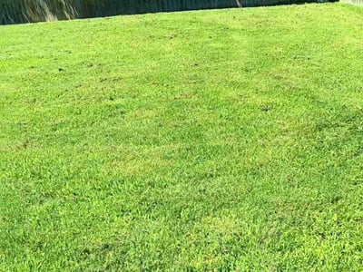 Lawn care service in Cordova, 38016