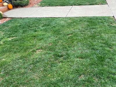 Lawn care service in Pittsburgh, 15224