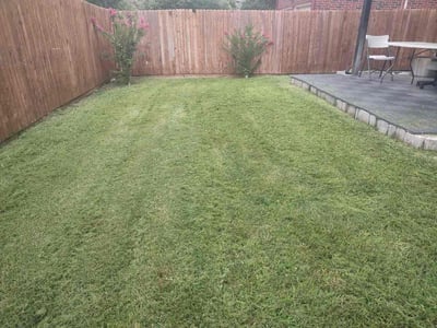 Lawn care service in Plano, 75024