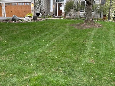 Lawn care service in Saint Paul, 55119