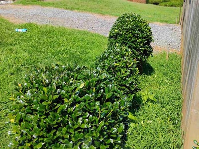 Lawn care service in Huntersville, 28078