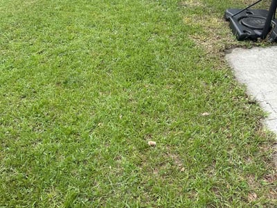 Lawn care service in Jacksonville, 32208
