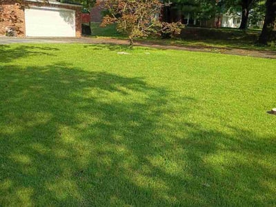 Lawn care service in Indianapolis, 46240