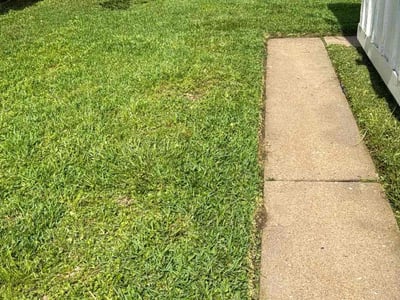 Lawn care service in Houston, 77033