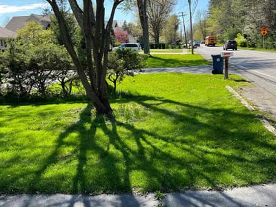 Lawn care service in East Amherst, 14051