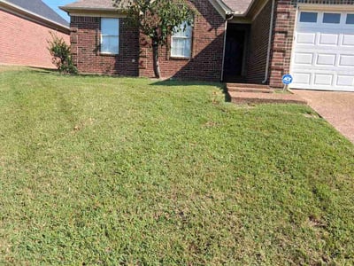 Lawn care service in Memphis, 38016
