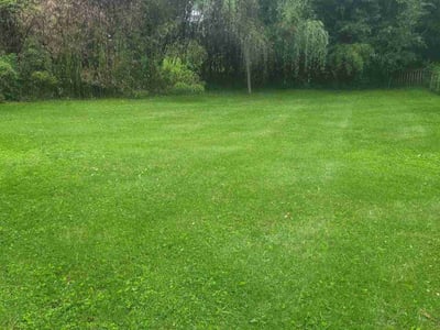 Lawn care service in Knoxville, 37931