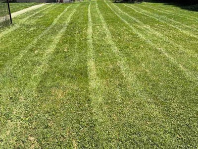 Lawn care service in Cincinnati, 45215