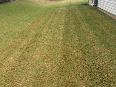 Lawn care service in Fort Mill, 29707