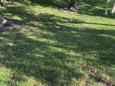 Lawn care service in Cedar Park, 78613