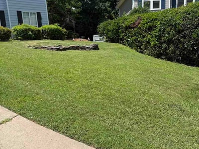 Lawn care service in Alpharetta, 30005
