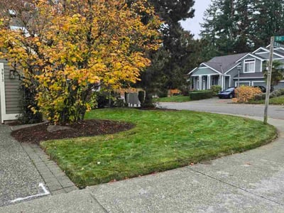 Lawn care service in Kenmore, 98028