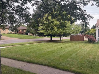 Lawn care service in Buffalo, 14227