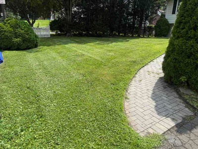Lawn care service in Meriden, 06450
