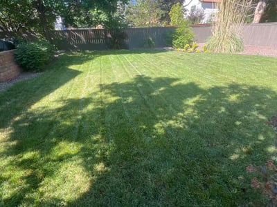 Lawn care service in Littleton, 80126