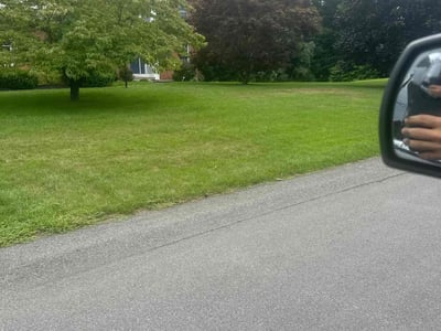 Lawn care service in Niskayuna, 12309