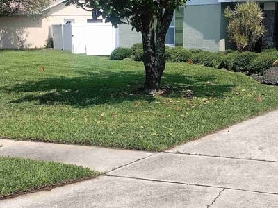 Lawn care service in Orlando, 32818