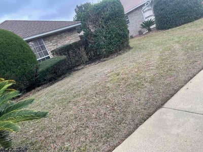 Lawn care service in Pensacola, 32514
