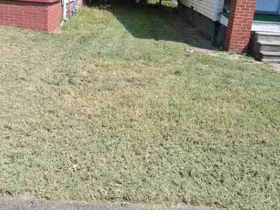 Lawn care service in Evansville, 47714