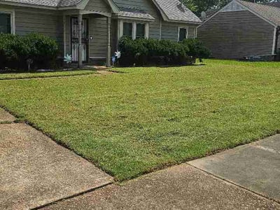 Lawn care service in Memphis, 38141