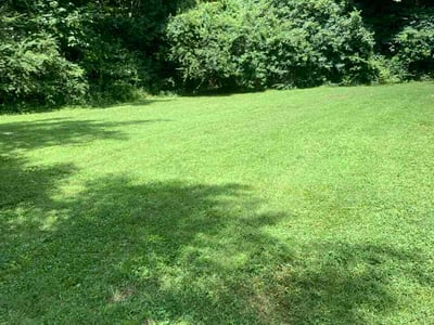 Lawn care service in Memphis, 38109
