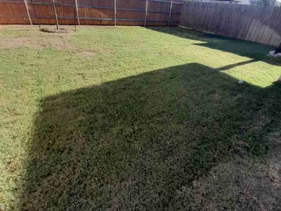 Lawn care service in Austin, 78754