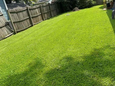 Lawn care service in Portsmouth, 23702