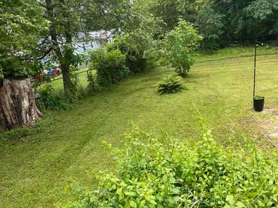 Lawn care service in Lowell, 01851