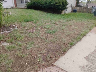 Lawn care service in St. Peters, 63376