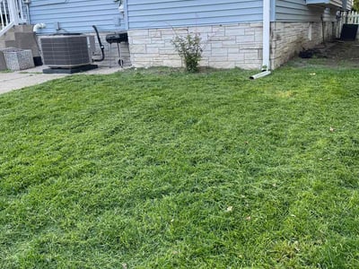 Lawn care service in Omaha, 68132