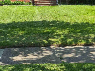 Lawn care service in Cleveland Heights, 44112