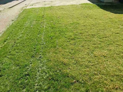 Lawn care service in Milwaukee, 53218