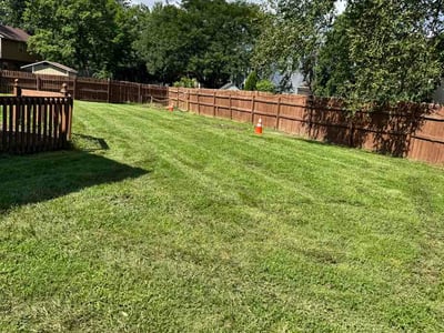 Lawn care service in Westerville, 43081