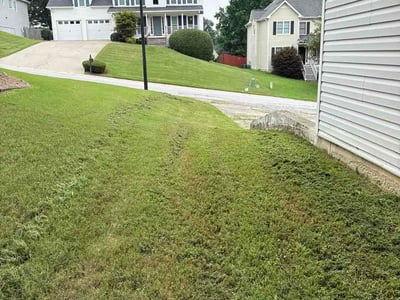 Lawn care service in Dallas, 30132