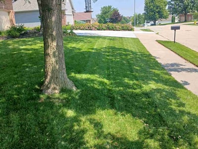 Lawn care service in Papillion, 68046