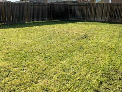Lawn care service in Manor, 78653