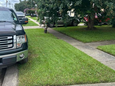 Lawn care service in Metairie, 70003