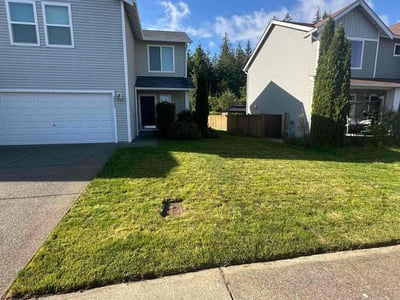 Lawn care service in Port Orchard, 98367