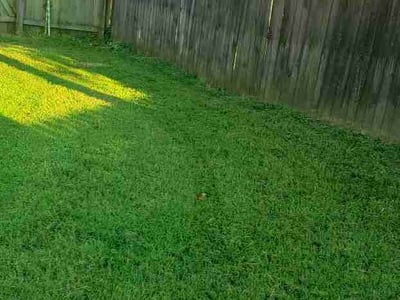 Lawn care service in Memphis, 38125