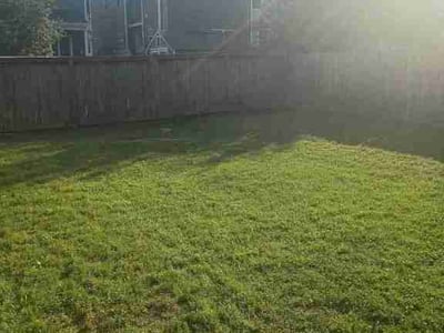 Lawn care service in Richmond, 23220
