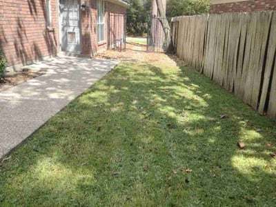 Lawn care service in Spring, 77380