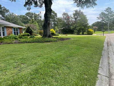 Lawn care service in Denham Springs, 70726