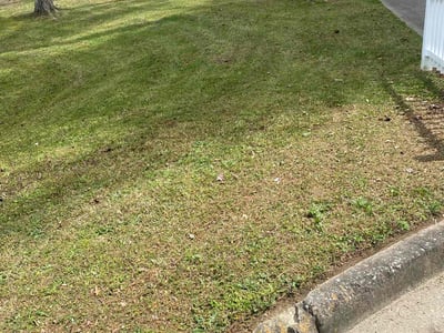 Lawn care service in Conyers, 30094