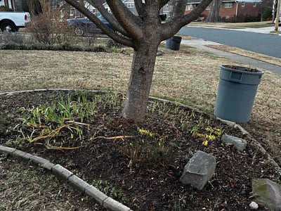 Lawn care service in McLean, 22101