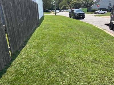 Lawn care service in Virginia Beach, 23462