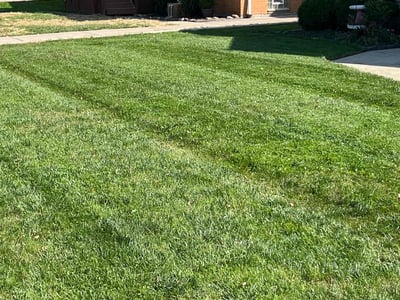 Lawn care service in Parma, 44130