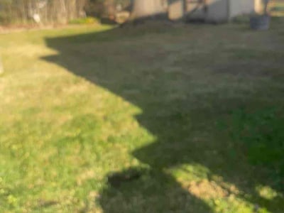 Lawn care service in , 